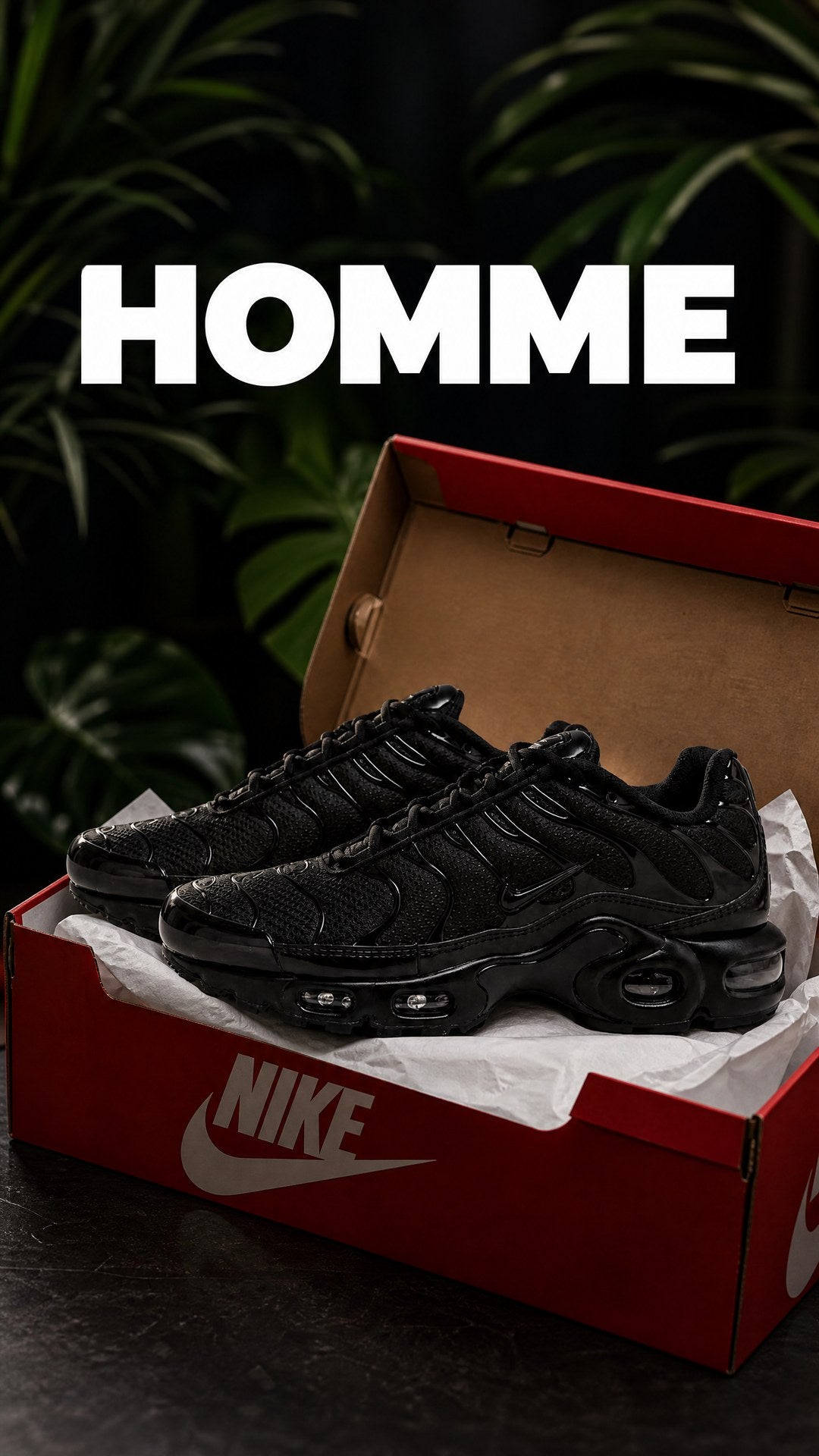 Collection Homme – Nike Air Max Plus TN dans leur boîte Nike
