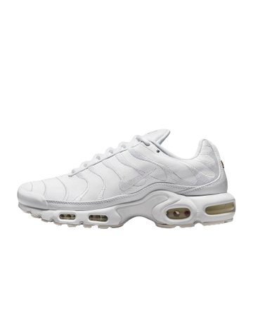 Nike Air Max Plus