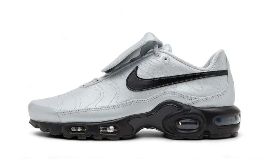 Nike Air Max Plus TN Tiempo Wolf Grey - vue de face