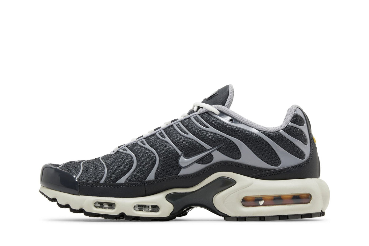 Nike Air Max Plus TN SE Greyscale Cool Grey - vue arrière