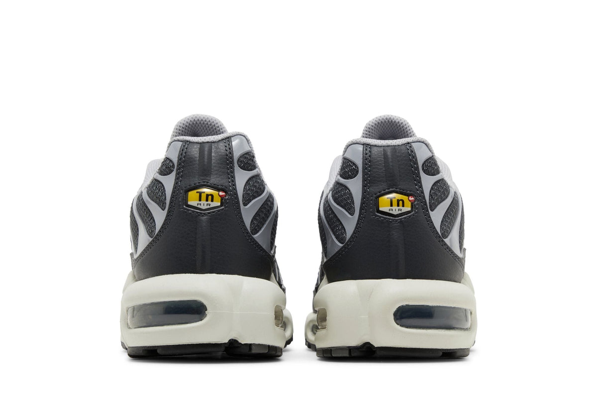 Nike Air Max Plus TN SE Greyscale Cool Grey - vue du dessus