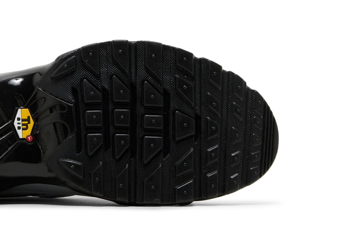 Nike Air Max Plus TN Tiempo Wolf Grey - détail de la semelle Air