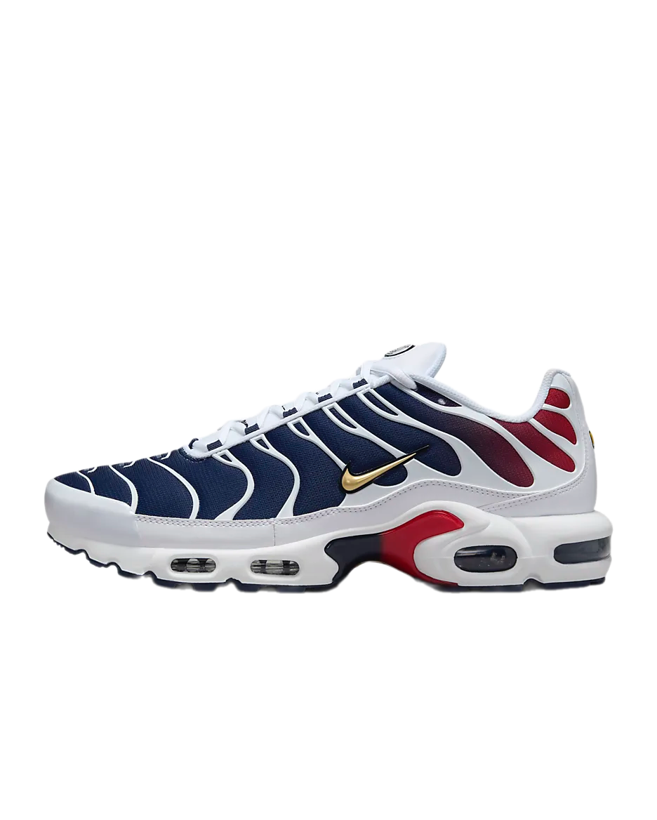 Nike Air Max Plus Paris