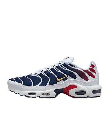 Nike Air Max Plus Paris