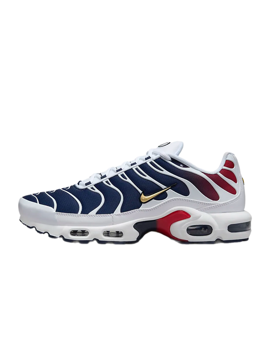 Nike Air Max Plus Paris