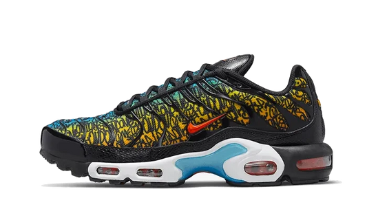 Nike Air Max Plus TN Brixton - vue de face