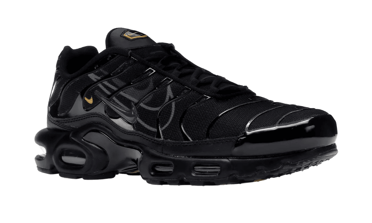 Nike Air Max Plus TN Multi-Swoosh Black - vue de profil