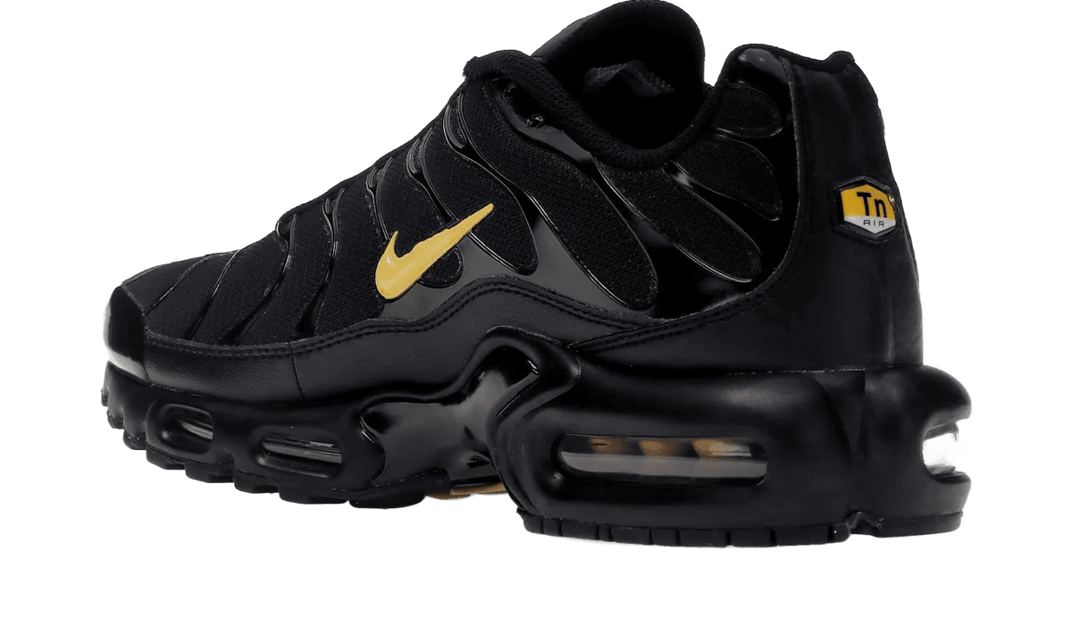 Nike Air Max Plus TN Multi-Swoosh Black - vue arrière