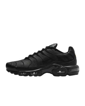 Nike Air Max Plus