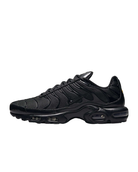 Nike Air Max Plus