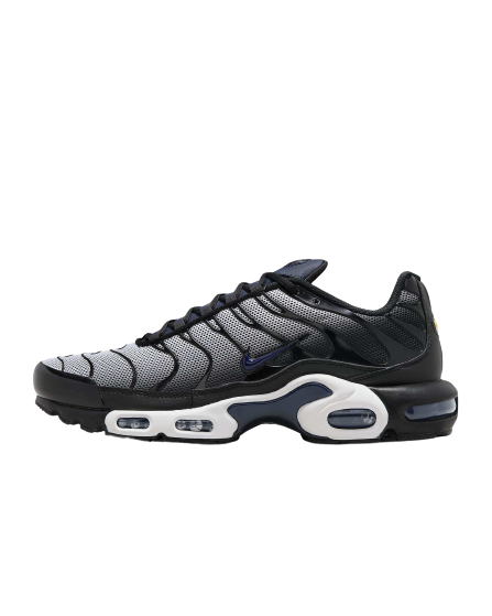 Nike Air Max Plus SE