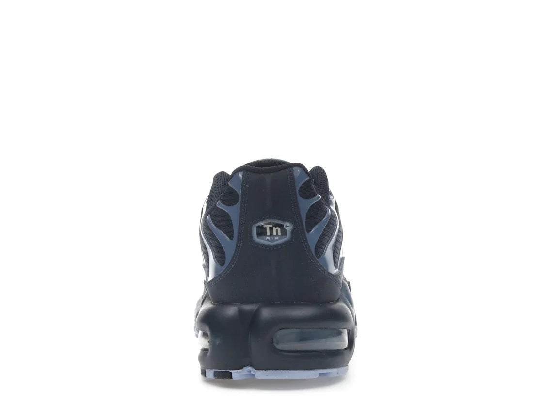 Nike Air Max Plus TN Obsidian Aluminum - vue de profil