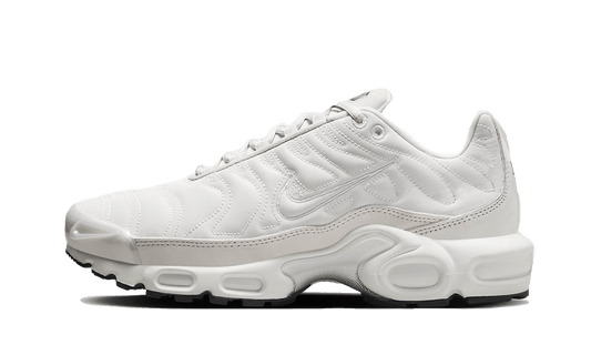 Nike Air Max Plus TN Reflective Platinum - vue de face